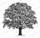 Impression Obsession Rubber Stamp - Leafy Tree