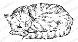 Impression Obsession Cling Rubber Stamp - Sleeping Cat
