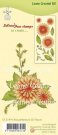 Leane Creatief Clear Stamps - 3D Flower Chrysanthemum