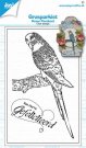 Joy Crafts Clear Stamps - Grass parakeet