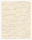 Sizzix Texture Fades Embossing Folder - Birch by Tim Holtz