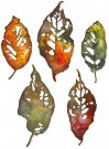 Sizzix Thinlits Die Set - Leaf Fragments by Tim Holtz (5 pack)