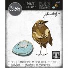 Sizzix Thinlits Die Set - Bird & Egg Colorize by Tim Holtz (11 dies)