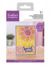 Crafters Companion Clear Stamps - Swirling Florals