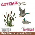 CottageCutz Dies - Mallard Ducks with Cats-tail