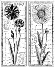 Crafty Individuals Unmounted Rubber Stamps - Tall Wild Flowers
