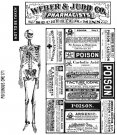 Tim Holtz Stampers Anonymous - Poisonous