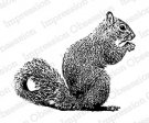 Impression Obsession Rubber Stamp - Squirrel Eating