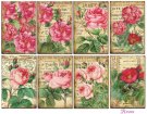 Decorer Roses Paper Pack (7x10.8cm)