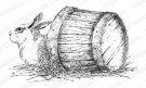 Impression Obsession Rubber Stamp - Rabbit in Barrel