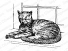 Impression Obsession Cling Rubber Stamp - Cat on Sill