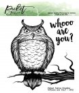 Picket Fence Studios 4”x4” Clear Stamps - Whooo are You?