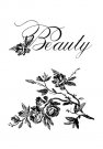 Websters Pages - Beauty Cling Mounted Rubber Stamp
