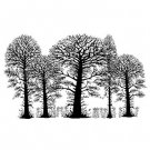 Lavinia Stamps Clear Stamps - Trees