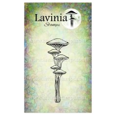 Lavinia Stamps Clear Stamps - Runecap