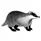 Lavinia Stamps Clear Stamps - Badger