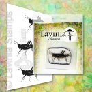 Lavinia Stamps Clear Stamps - Jiminy