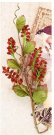 A Victorian Christmas Mulberry Paper Flower Stem - Poinsettia Kiss