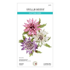 Spellbinders Etched Dies - Serenity Garden Astrantia