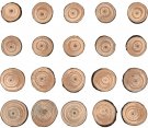 Tim Holtz Idea-Ology Wood Slices - Natural Raw Edge (20 pack)