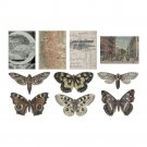 Tim Holtz Idea-Ology Transparent Acetate Things (10 pack)