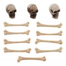 Tim Holtz Idea-Ology - Skulls + Bones