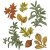 Sizzix A5 Clear Stamp Set by 49 and Market with Framelits Dies - Forever Leaves (8+8 pieces)