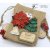 Little Birdie Paper Flower Christmas Poinsettia - Red (4 pack)