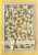 Darkroom Door Unmounted Rubber Stamp - Frangipani