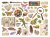 Stamperia Assorted Die Cuts - All Around