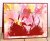 Impression Obsession Rubber Stamp - Swans