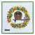 Lavinia Stamps Clear Stamps - Vine Set