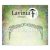 Lavinia Stamps Clear Stamps - Forest Arch