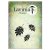Lavinia Stamps Clear Stamps - Red Oak Leaf