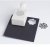 Martha Stewart Large Double Punch - Spider Web