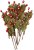 Prima Marketing Paper Flowers - From The North Pole Berry Delight (15 pack)