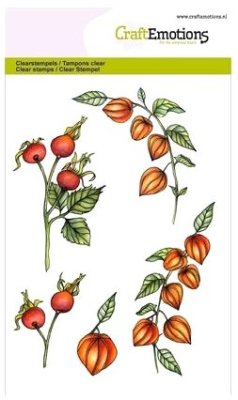 Craftemotions A6 Clearstamp Set - Physalis (Lampionplant)