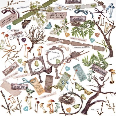 49 And Market Laser Cut Outs - Nature Study Elements