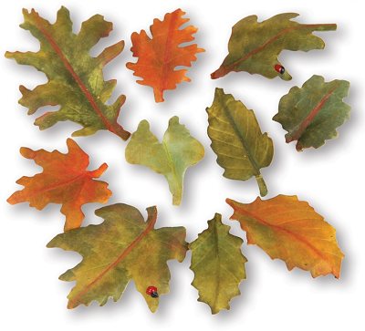 Sizzix Thinlits Dies - Woodland Leaves