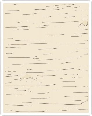 Sizzix Texture Fades Embossing Folder - Birch by Tim Holtz