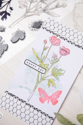Sizzix A5 Clear Stamps & Framelits Die Set - Painted Pencil Botanical by 49 and Market
