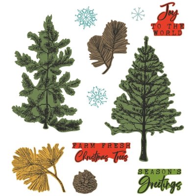 Sizzix A5 Clear Stamp Set by 49 and Market with Framelits Dies - Pine Holidays (16+5 pieces)