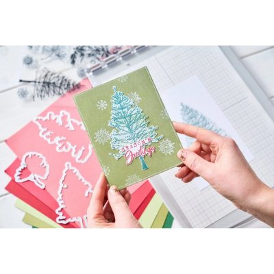 Sizzix A5 Clear Stamp Set by 49 and Market with Framelits Dies - Pine Holidays (16+5 pieces)