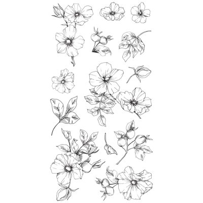 Sizzix Clear Stamp Set - Wildflower Botanicals (13 stamps)