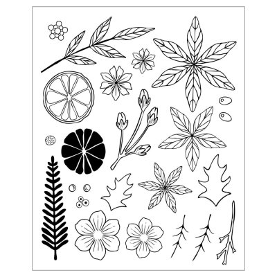 Sizzix Clear Stamp Set & Framelits Dies - Winter Florals by Vicki Boutin