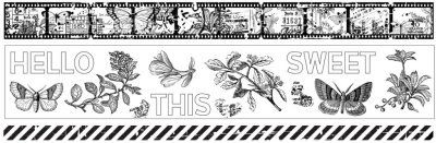 Arden Creative Studio PET Tape Set - Field Notes