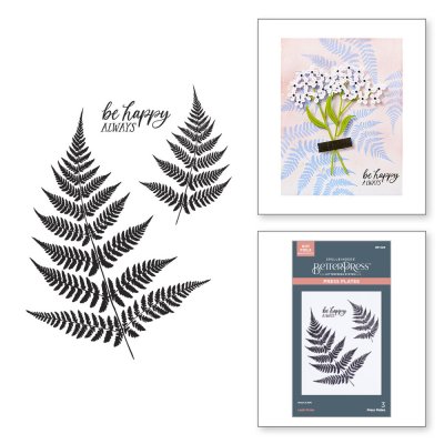 Spellbinders BetterPress Plate - Lush Ferns