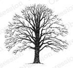 Impression Obsession Rubber Stamp - Small Bare Tree
