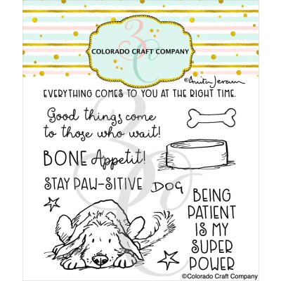 Colorado Craft Company 4"x4" Clear Stamps - Stay Pawsitive