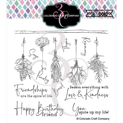 Colorado Craft Company 6"x6" Clear Stamp Set - Spice Of Life Big & Bold
